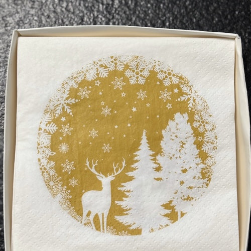 Geschenkbox: Handgefertigte Verpackung für jeden Anlass Nr. 17