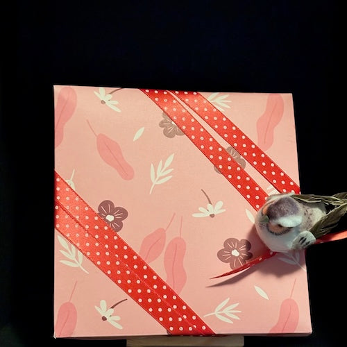 Geschenkbox: Handgefertigte Verpackung für jeden Anlass Nr. 101